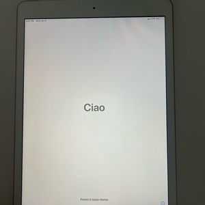 Rose gold Ipad model A2200